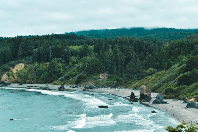 Embracing Nature’s Luxury: Unwinding in the Great Outdoors